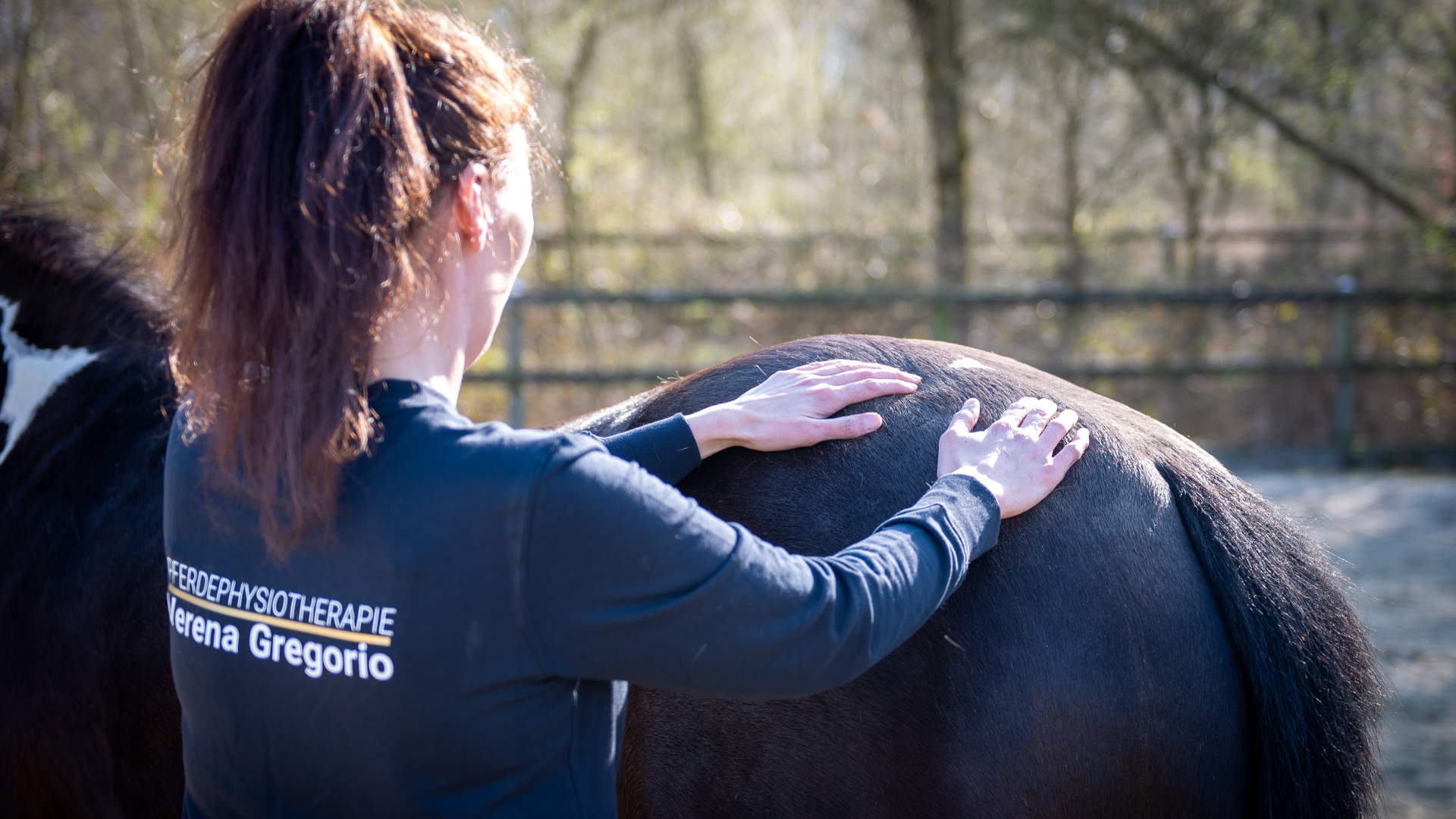 Behandlungssituation / Pferdephysiotherapie Verena Gregorio